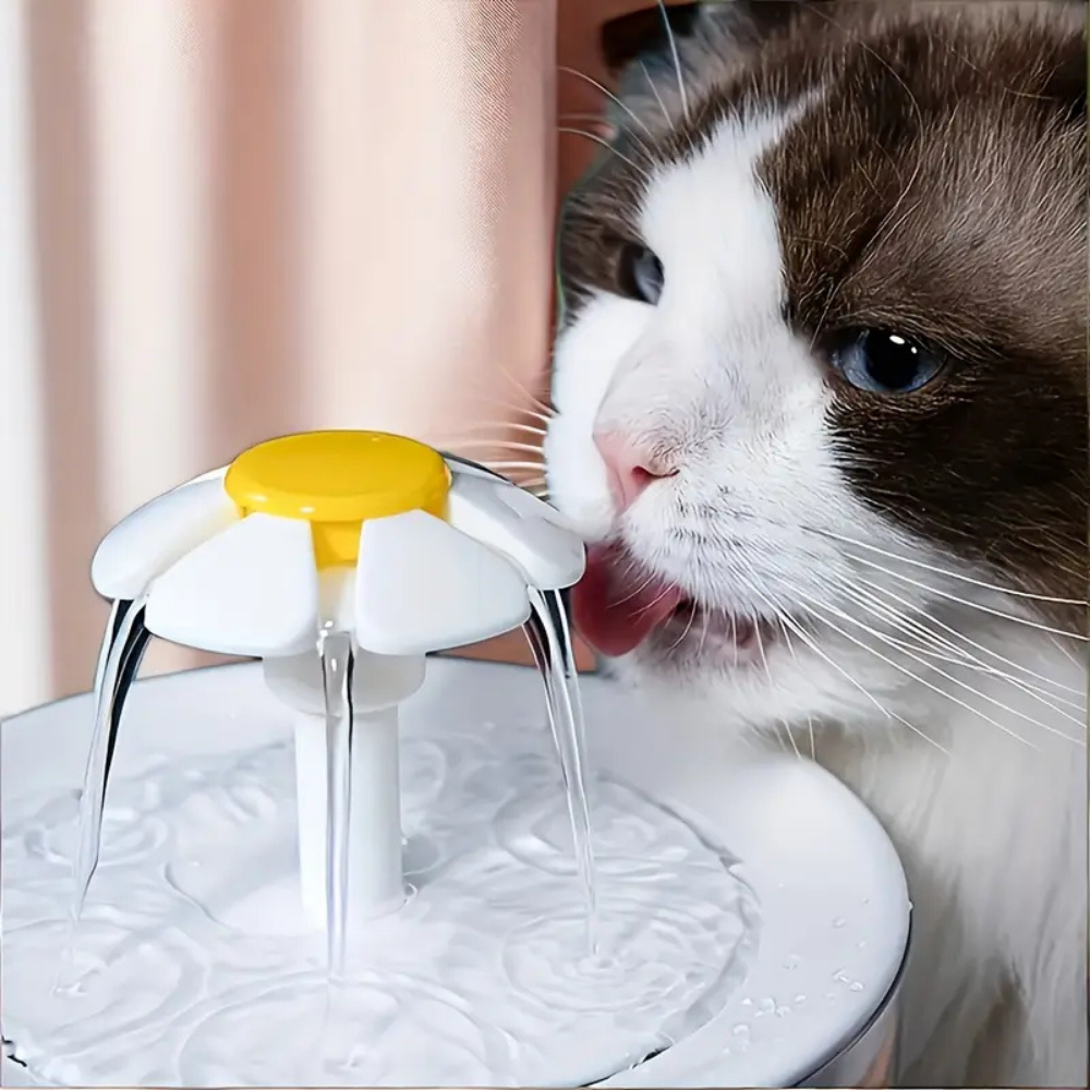 Fontaine à eau filtrante AquaChat pour chats – Hydratation saine et continue