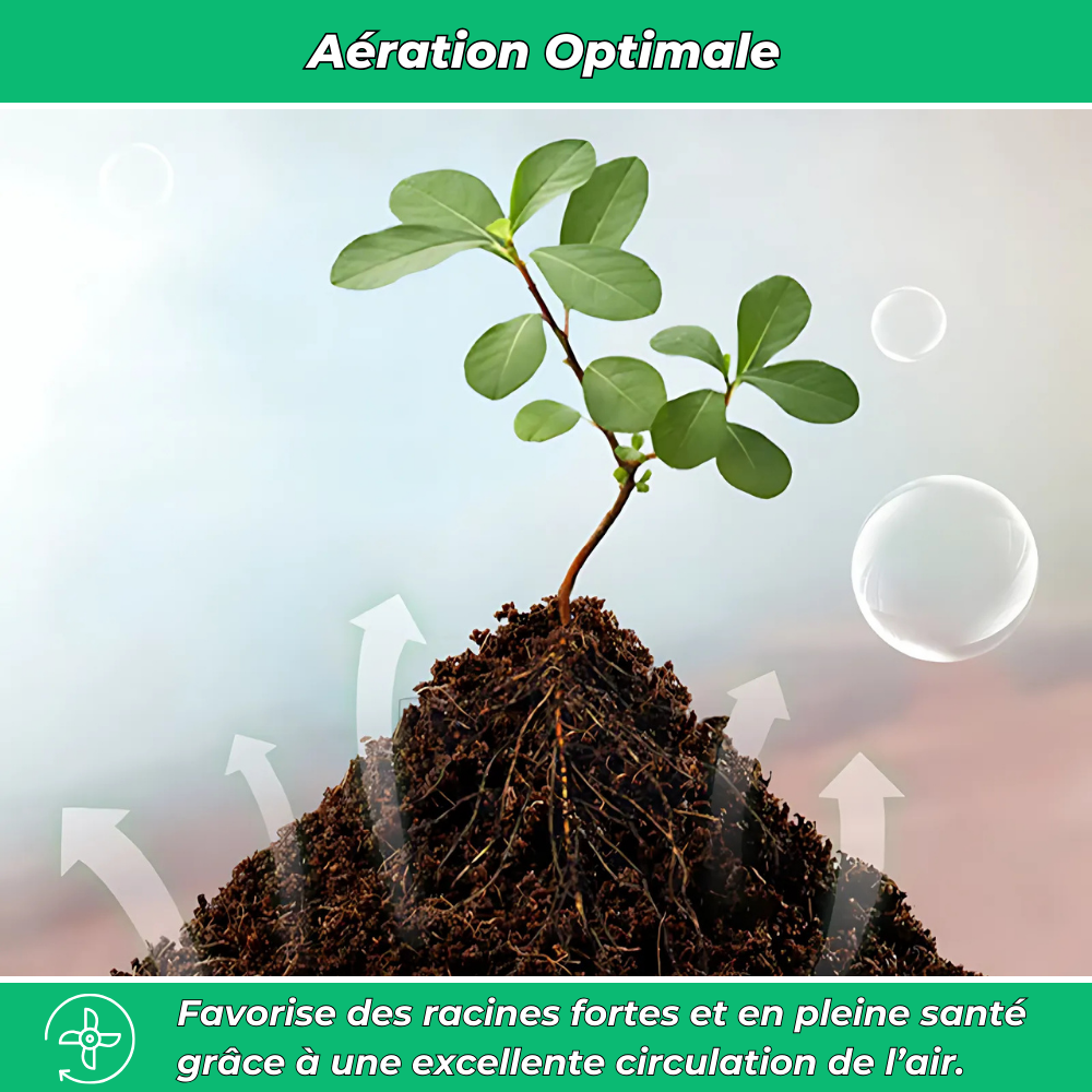 BioTerra Engrais Naturel Comprimé à Base de Coco et Neem – Fertilisation Écologique pour Plantes et Jardin