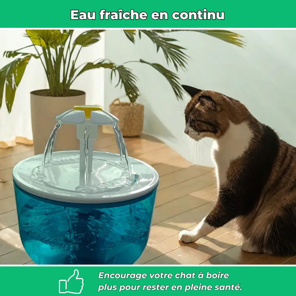 Fontaine à eau filtrante AquaChat pour chats – Hydratation saine et continue