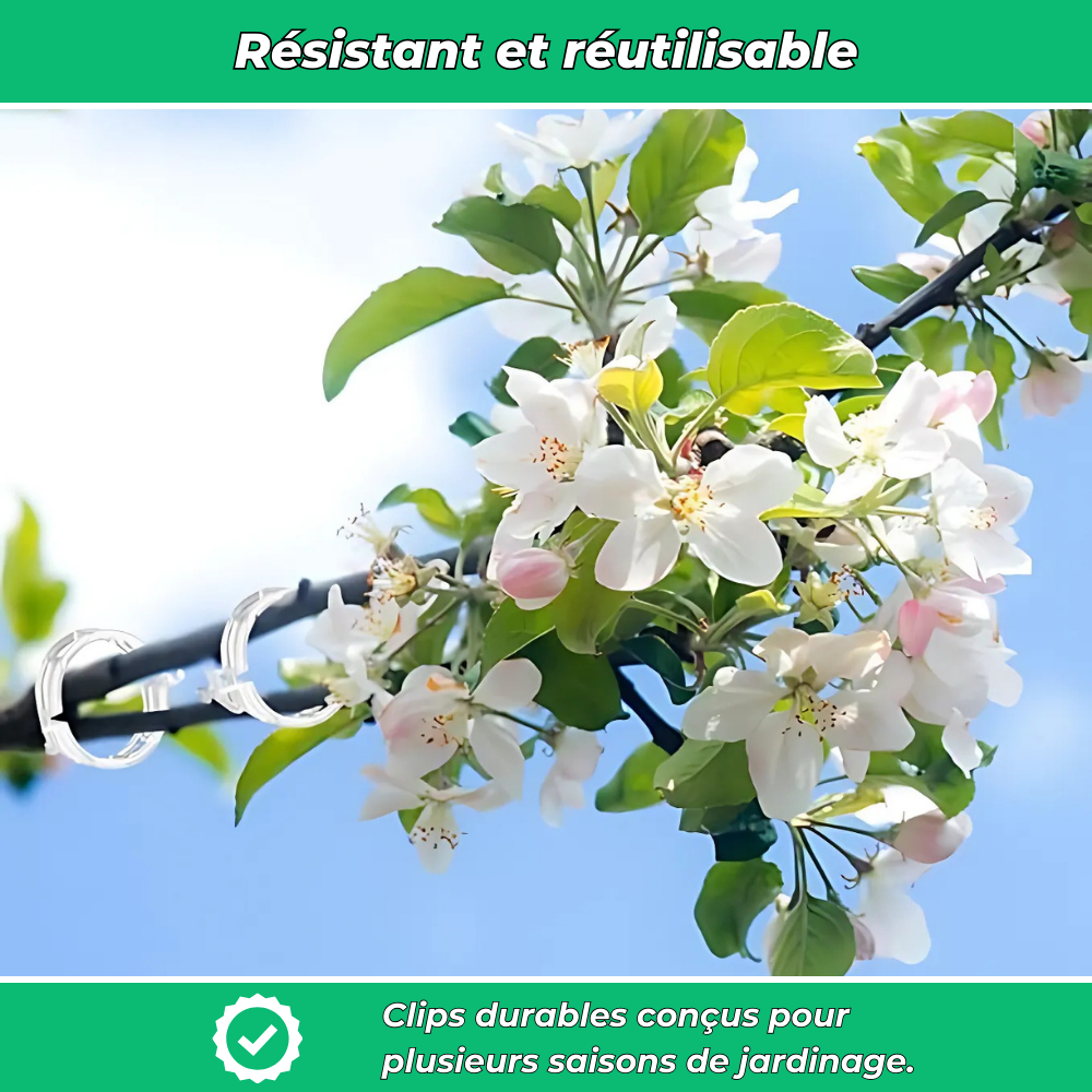 Lot de 25 Clips en Plastique Réutilisables – Pratiques pour Rangement et Organisation