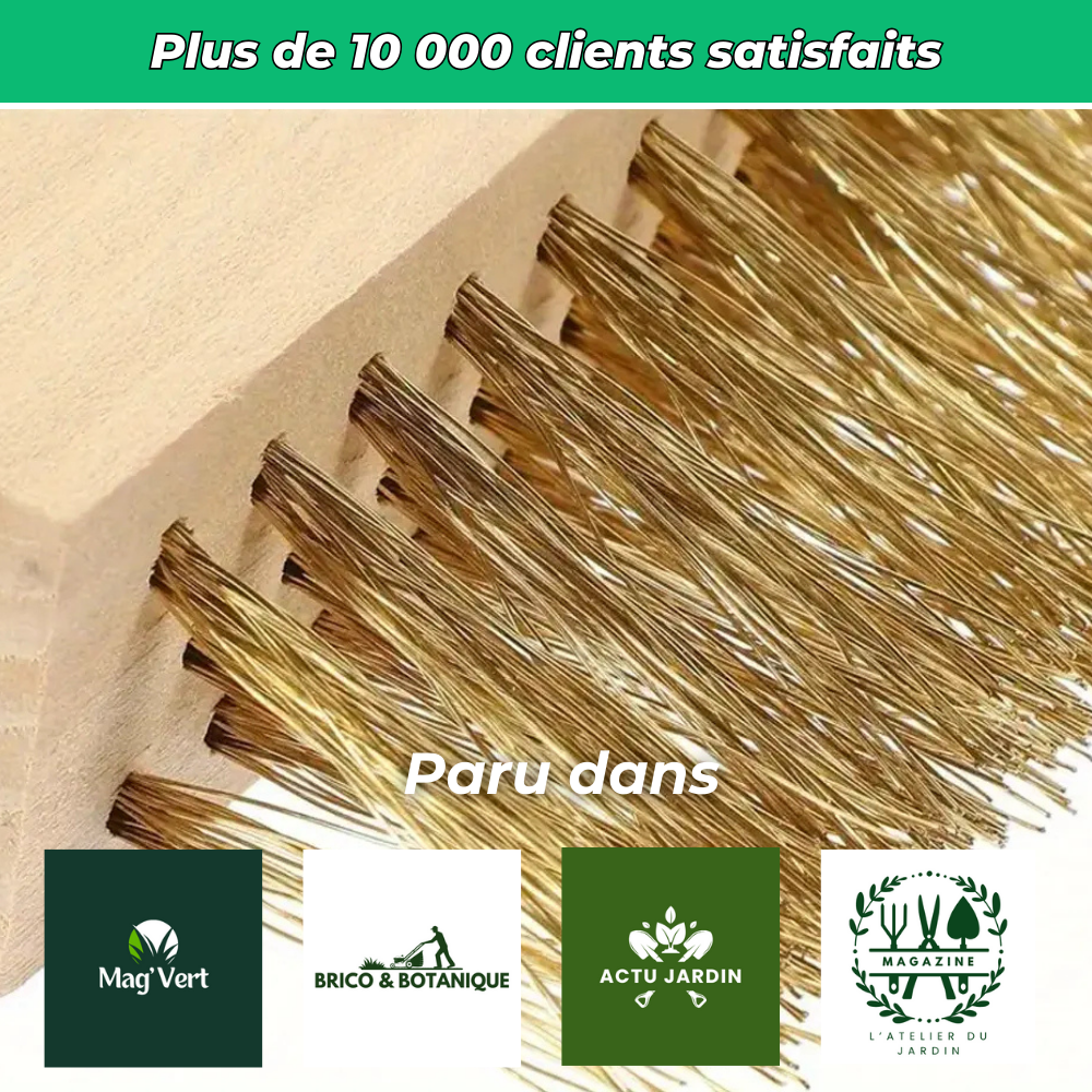 Outil 2 en 1 pour Joints et Pavés Impeccables – Nettoyage et Entretien Précis des Surfaces Extérieures