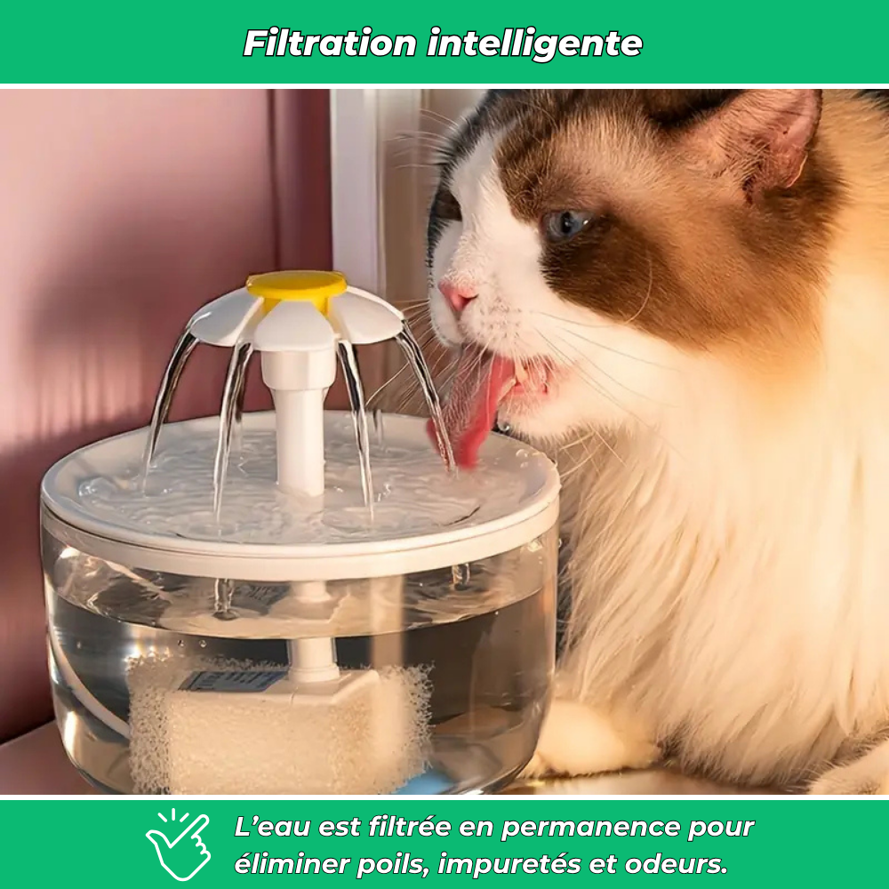 Fontaine à eau filtrante AquaChat pour chats – Hydratation saine et continue
