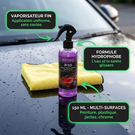 P10 | Spray protecteur carrosserie